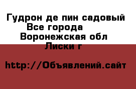 Гудрон де пин садовый - Все города  »    . Воронежская обл.,Лиски г.
